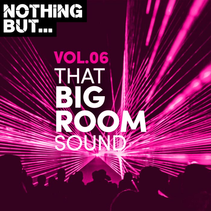 Nothing But... That Big Room Sound (Vol. 06)