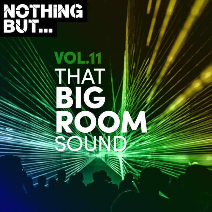 Nothing But... That Big Room Sound (Vol. 11)