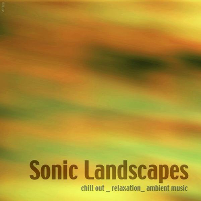 Sonic Landscapes [2013]