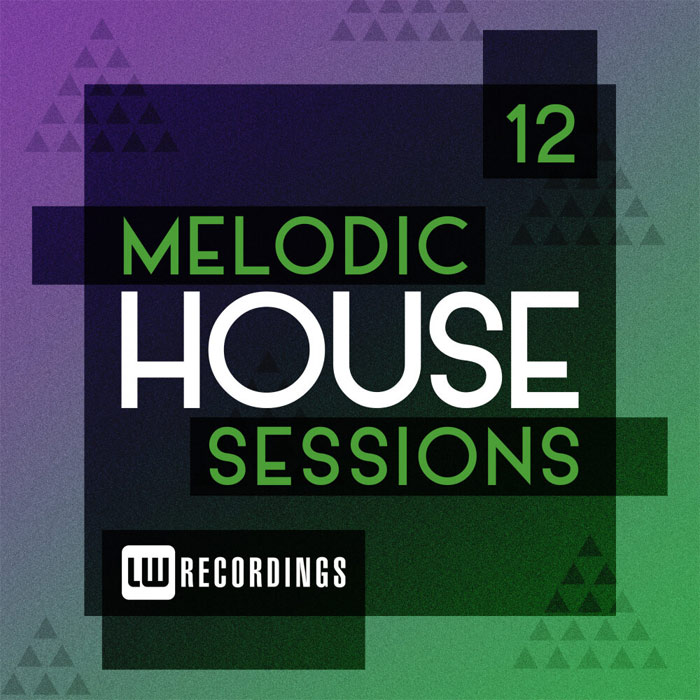 Melodic House Sessions (Vol. 12)