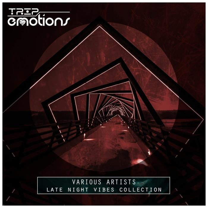 Late Night Vibes Collection