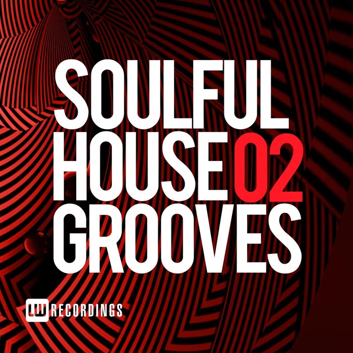 Soulful House Grooves (Vol. 02)