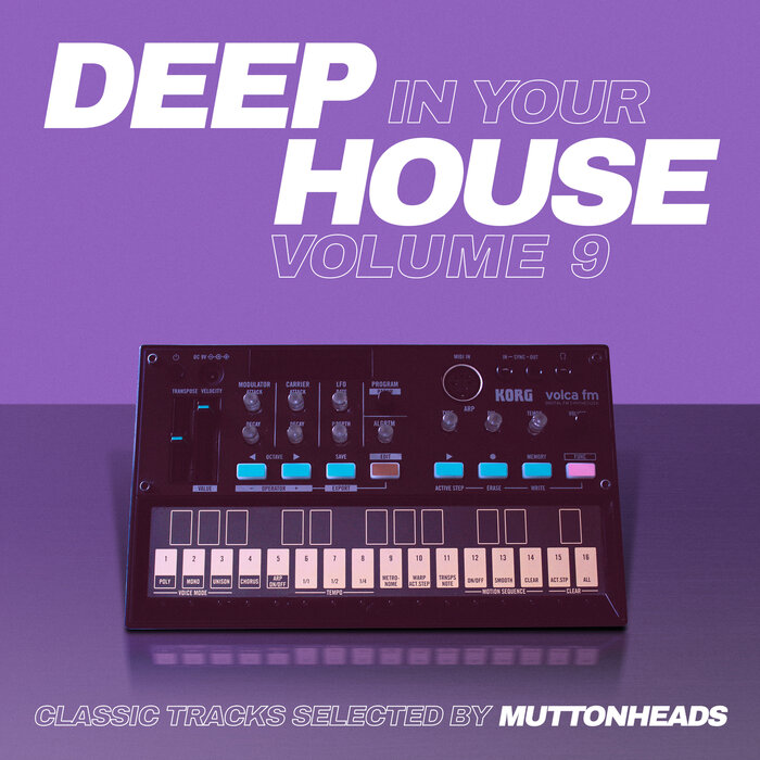 Deep In Your House Vol. 9 (Classic Tracks Selected by Muttonheads)