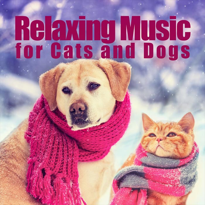 Relaxing Music For Cats & Dogs [2021]