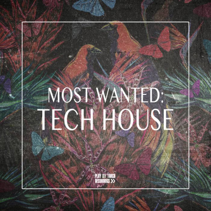 Most Wanted: Tech House [2018]