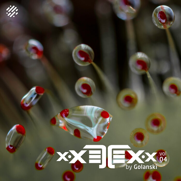 XXETEXx (Vol. 04) [2021]