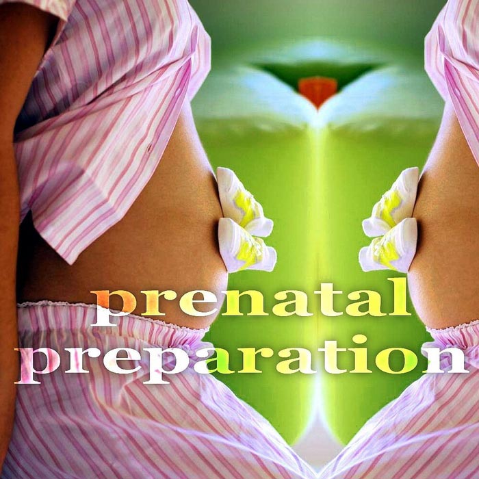 Prenatal Preparation (Creative Progressive House Music) [2011]