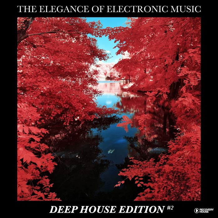 The Elegance Of Electronic Music - Deep House Edition #2 [2018]