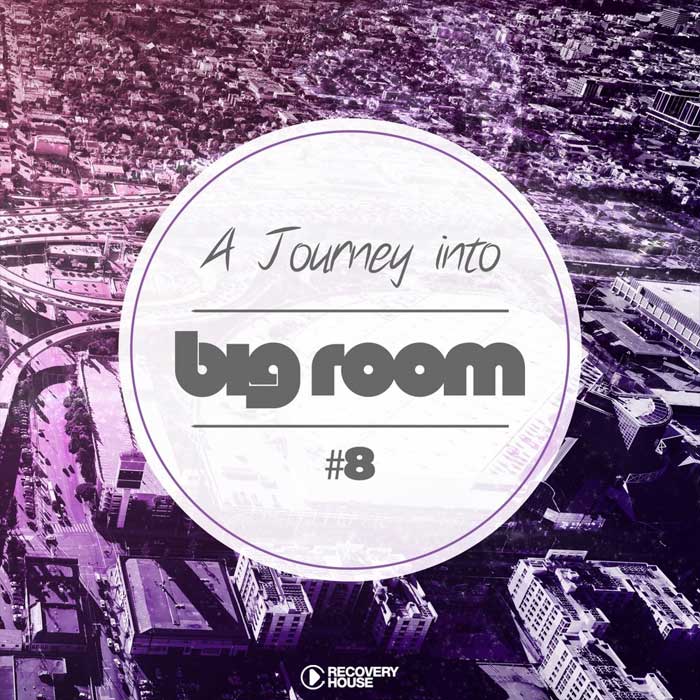 A Journey Into Big Room (Vol. 8)