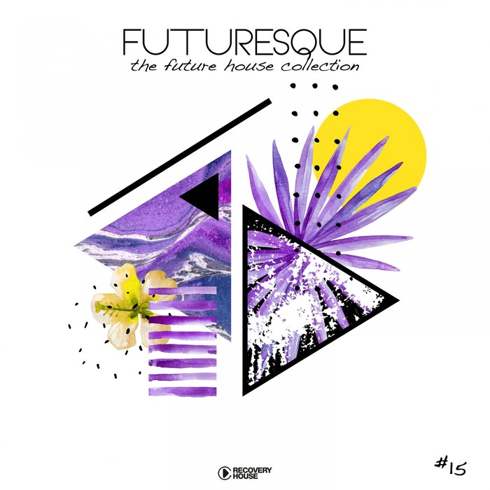 Futuresque - The Future House Collection (Vol. 15) [2019]