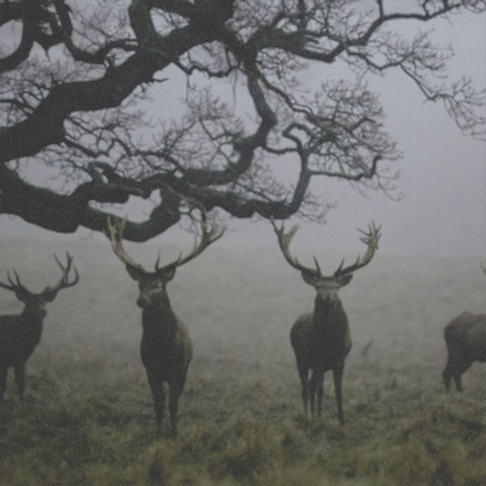 Paul Beahan - The Art Of Dying [2022]