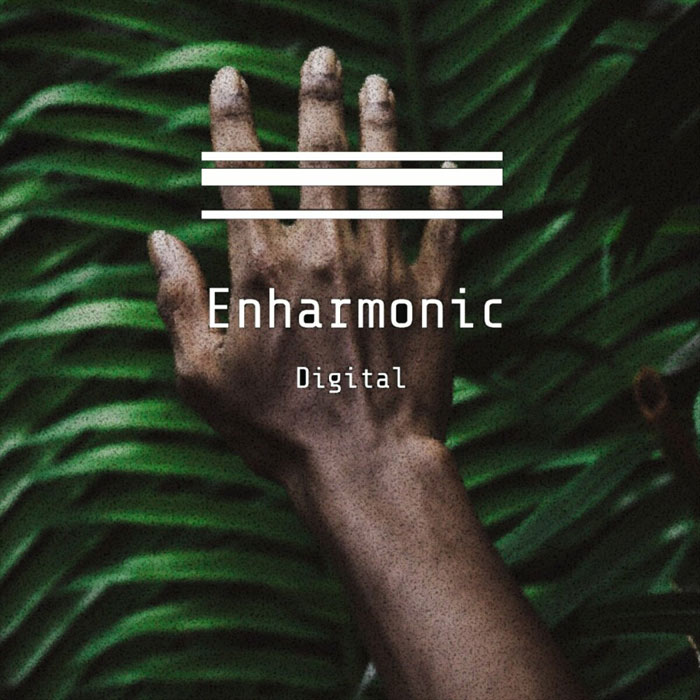 Sediis - Villagers In Bush EP