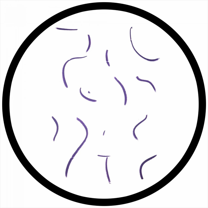 PAWSA - Roll Play [2019]