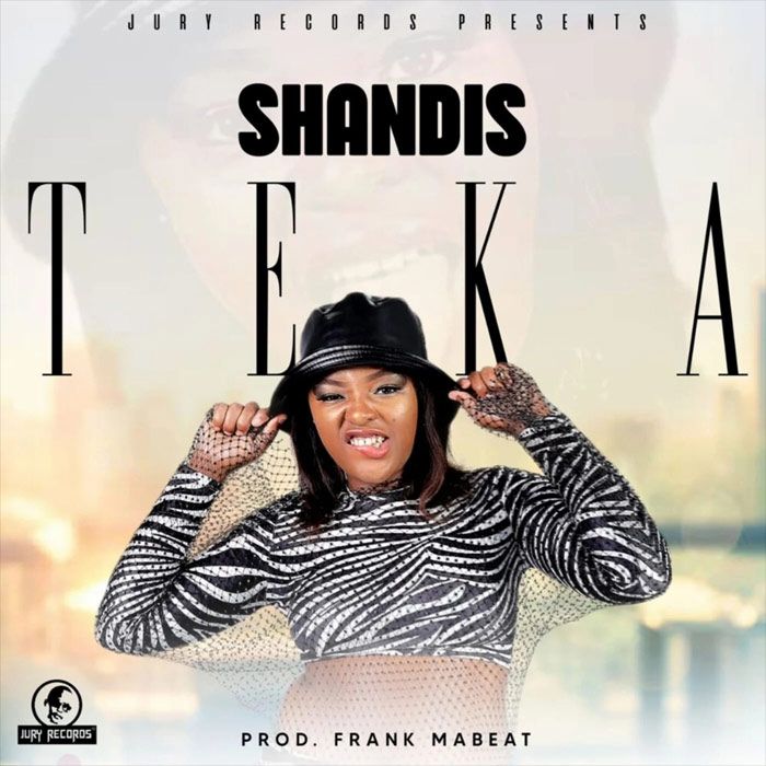 Shandis - Teka
