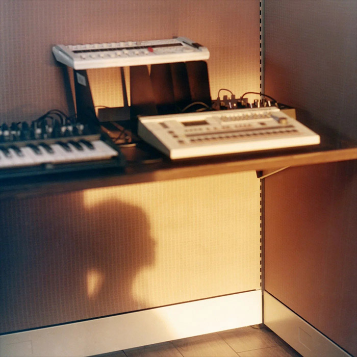 Marie Davidson - Work It (Soulwax Remix) [2019]