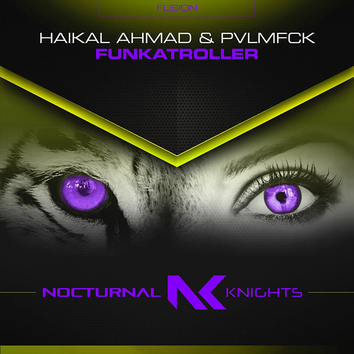 Haikal Ahmad & Pvlmfck - Funkatroller