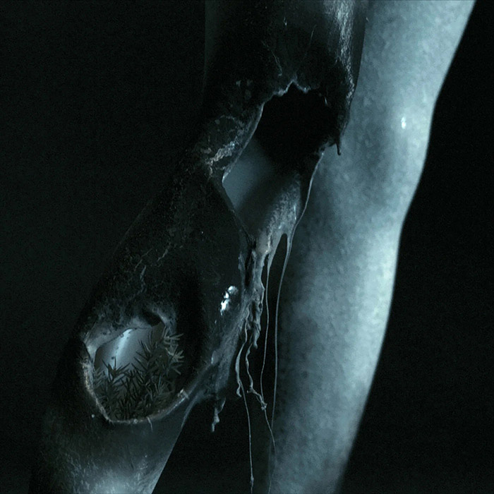 Ivy Lab - Balaclava [2022]