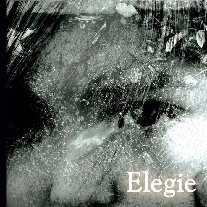Gilad Ronen - Elegie
