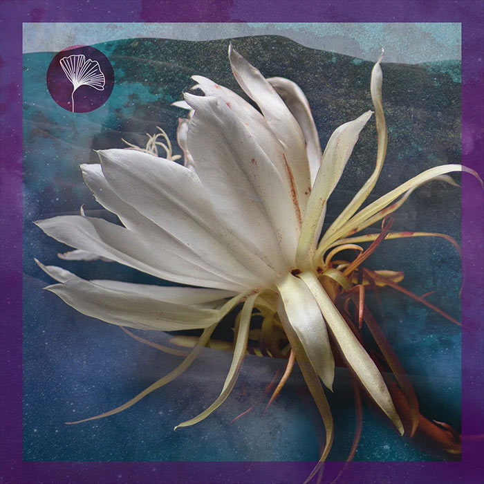 Darksidevinyl & Ucha - Another Brick In The Wall [2022]