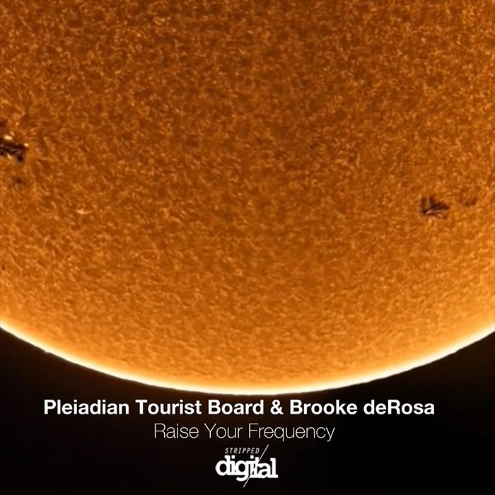 Pleiadian Tourist Board & Brooke deRosa - Raise Your Frequency [2022]