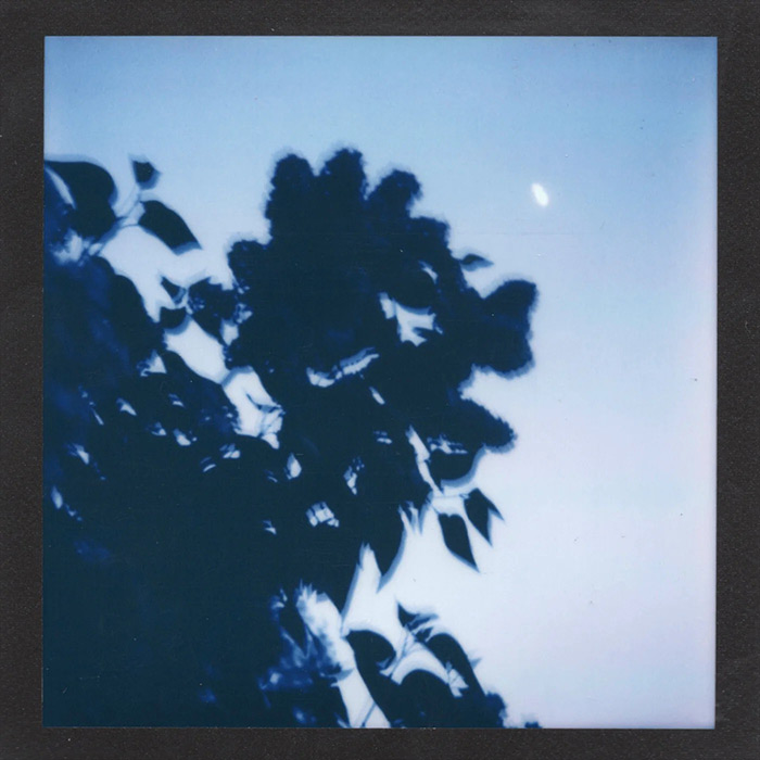 foxwedding - verytired