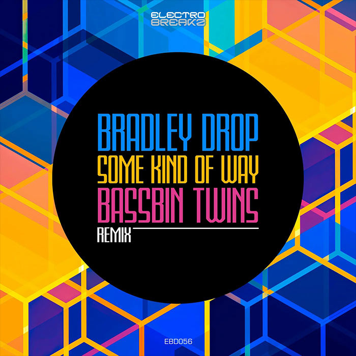Bradley Drop - Some Kind Of Way (Bassbin Twins Remix) [2022]