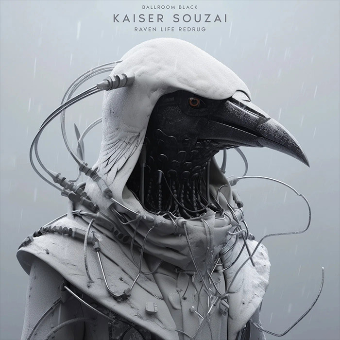 Kaiser Souzai - Raven LIfe ReDrug [2023]