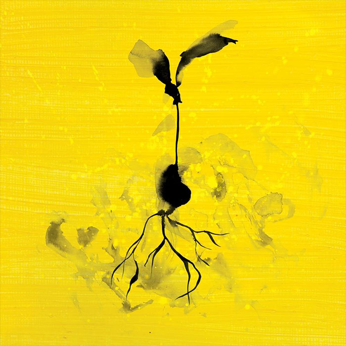 Ed Sheeran - Life Goes On (feat. Luke Combs)