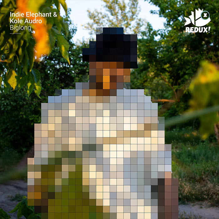 Indie Elephant & Kole Audro - Biglong [2023]