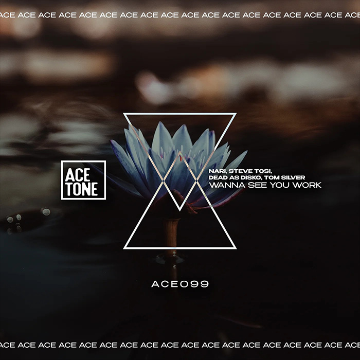 Nari, Steve Tosi, Dead As Disko, Tom Silver - Wanna See You Work [2023]