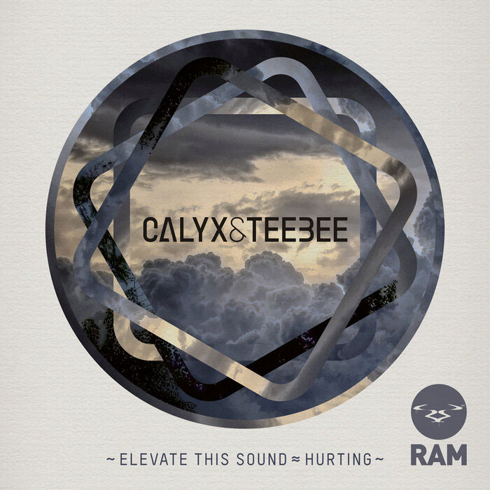 Calyx & Teebee - Elevate This Sound / Hurting [2012]