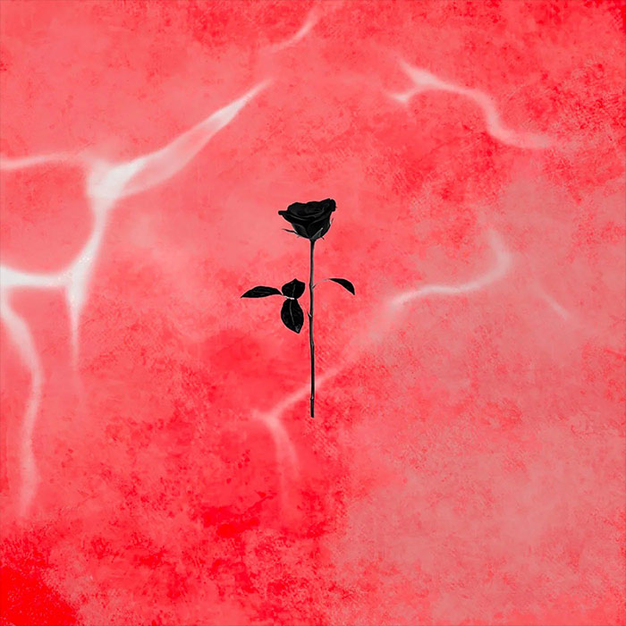 Carlo Whale - Ether EP [2023]