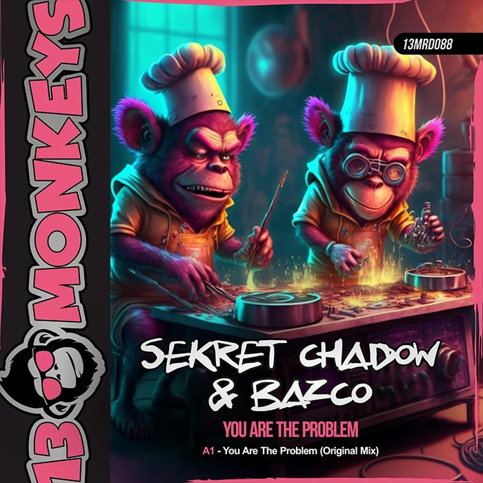 Sekret Chadow & Bazco - You Are The Problem [2023]