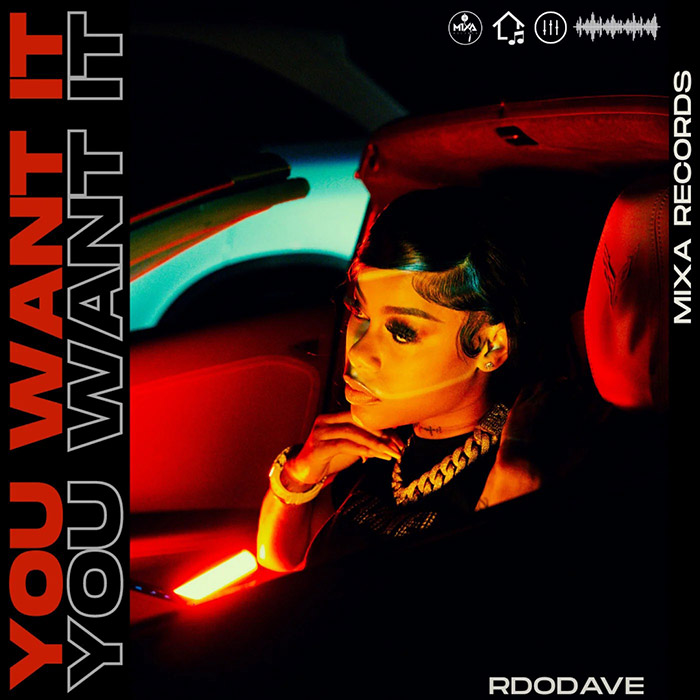 Rd0Dave - You Want It