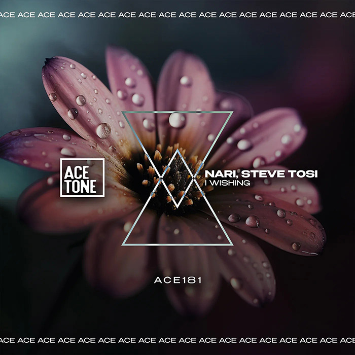 Nari, Steve Tosi - I Wishing [2024]