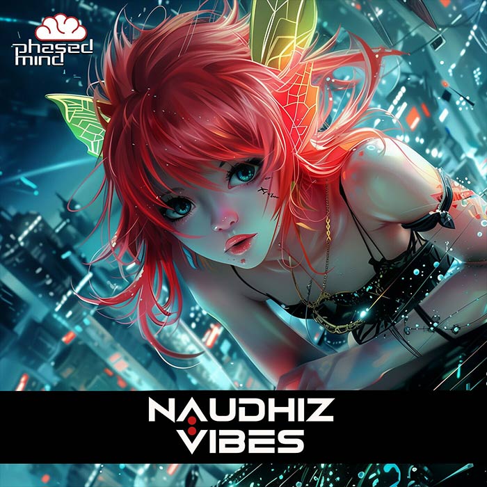 Naudhiz - Vibes [2024]