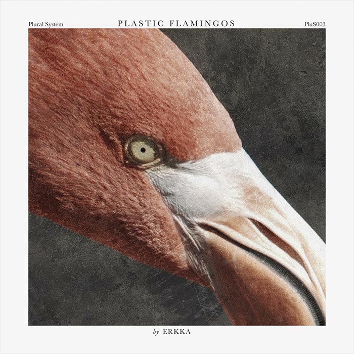 Erkka - Plastic Flamingos [2018]