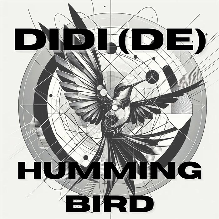 DIDI (DE) - Humming Bird