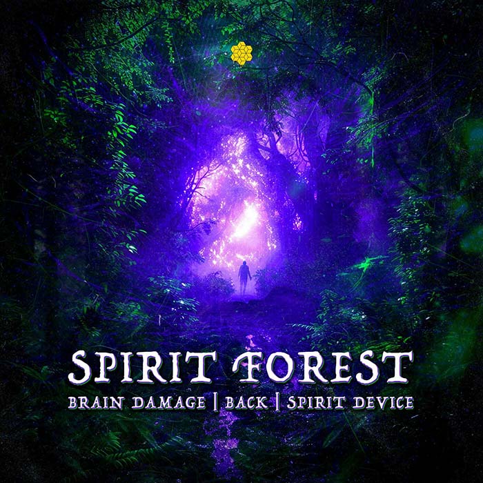 Brain Damage, Back (BR), Spirit Device - Spirit Forest [2024]