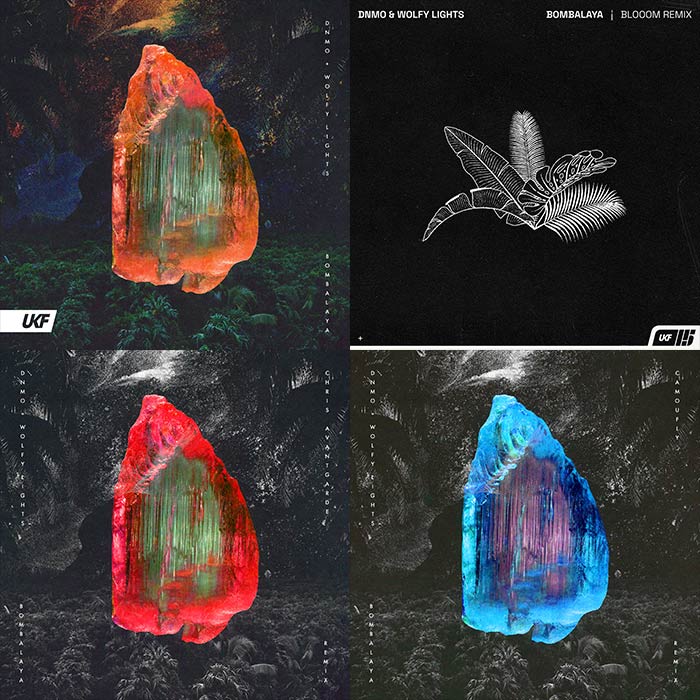 DNMO, Wolfy Lights - Bombalaya (+Blooom, Chris Avantgarde & camoufly Remixes)