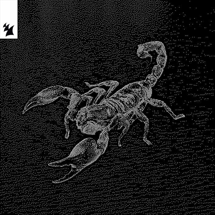 Ship Wrek, Datti (US) - Animal [2025]