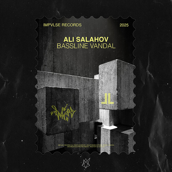 Ali Salahov - Bassline Vandal