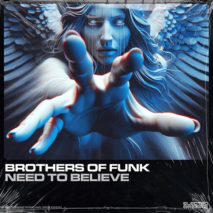 Brothers Of Funk - Need To Believe [2025]