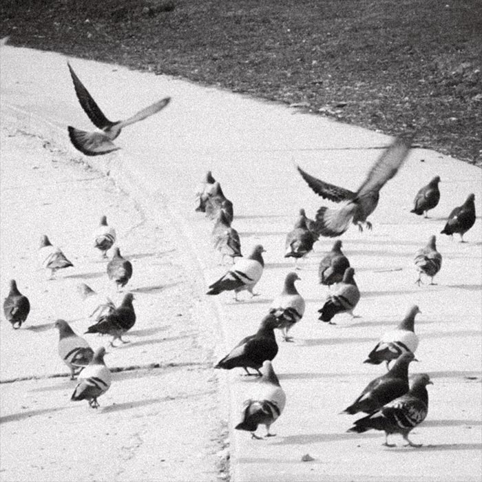 Keenan Mathias - On That / The Grass Is Green Enough [2025]