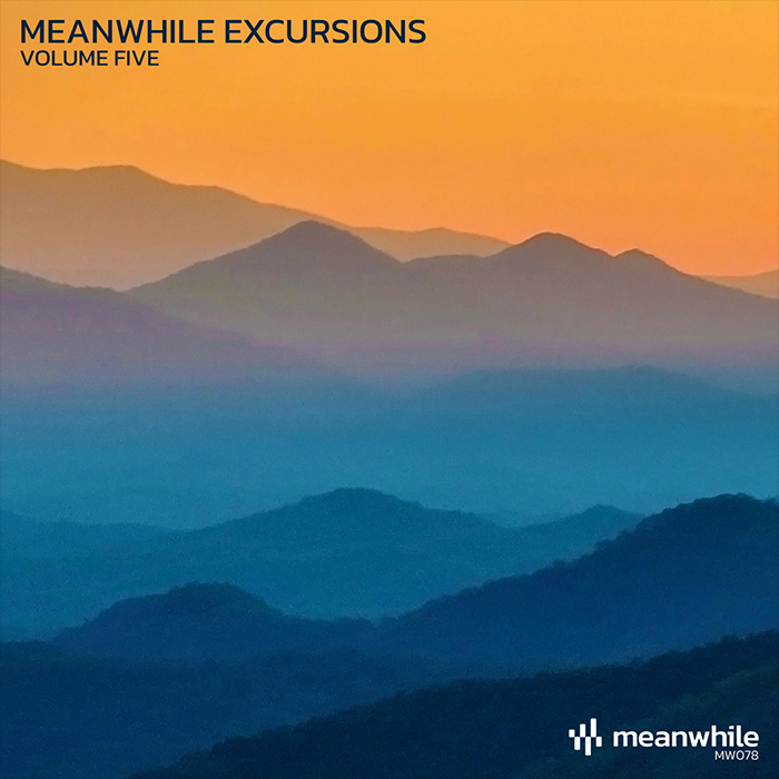 Meanwhile Excursions (Vol. 5) [2025]