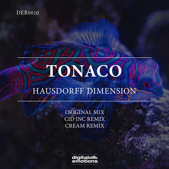 Tonaco - Hausdorff Dimension [2022]