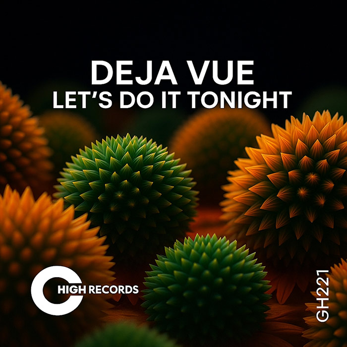 Deja Vue - Lets Do It Tonight (Richard Grey's Funky Tribal Mix) [2025]