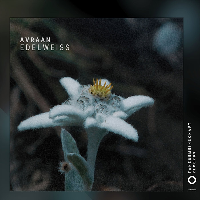 Avraan - Edelweiss [2025]