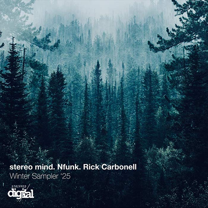 stereo mind / Nfunk / Rick Carbonell - Winter Sampler '25 [2025]