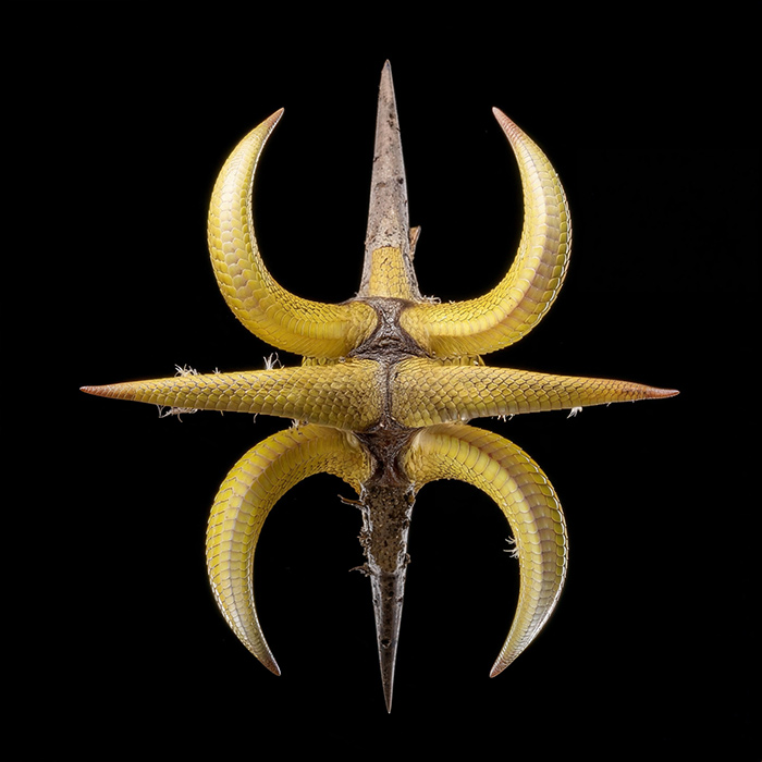 Rafael Cerato, widerberg - Hero (Guzy Remix) [2026]